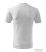  Men Round neck Tshirt white